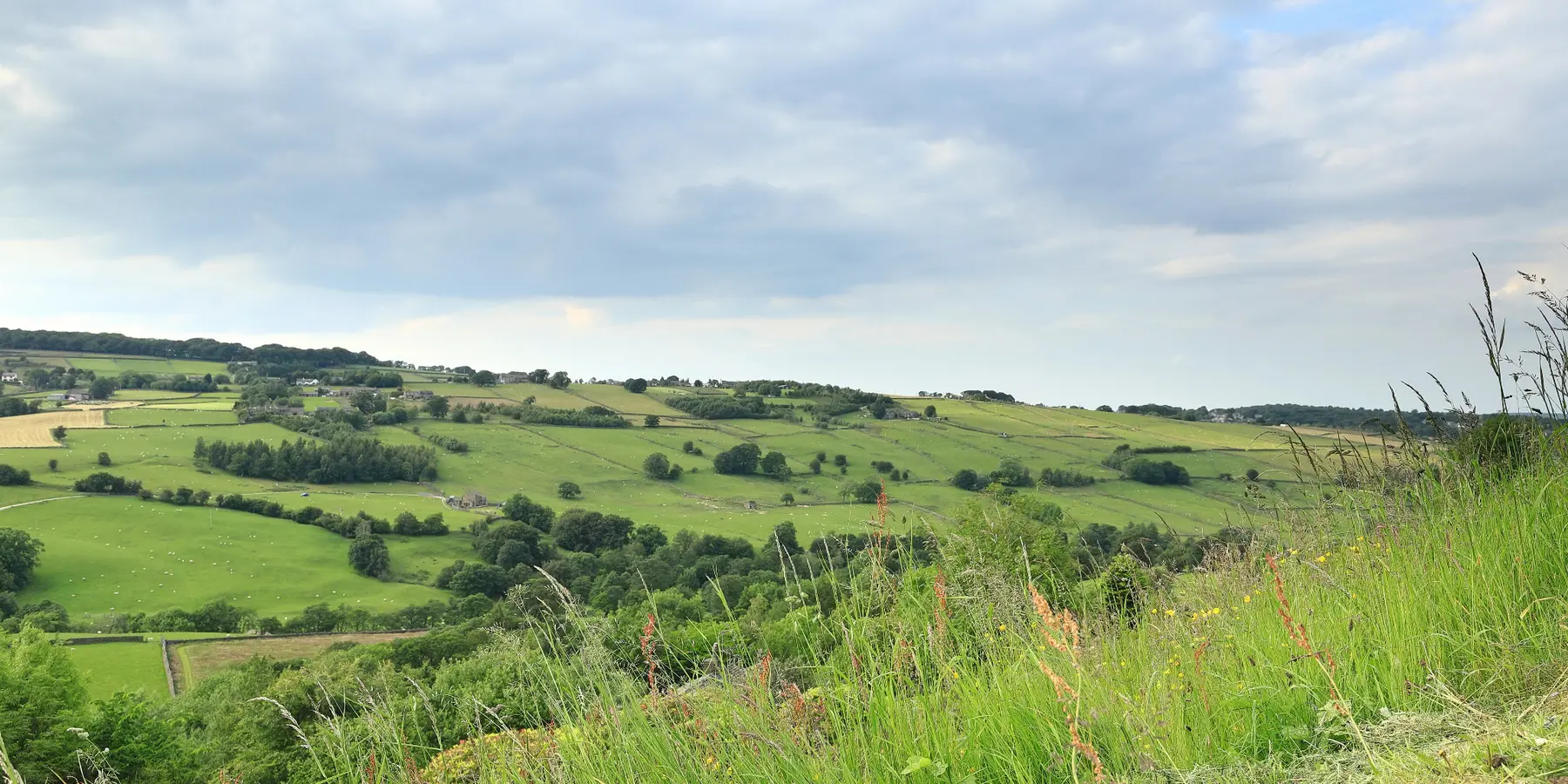 Green Yorkshire countryside under a broad sky